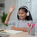 Flexible Scheduling Options for Studying Statistics with Online Tutors